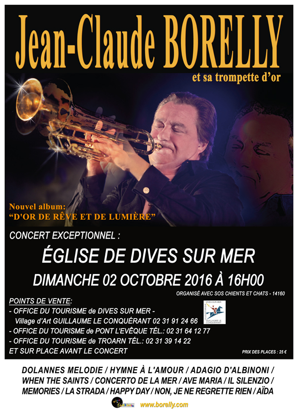 Affiche dives sur mer 2016