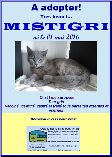 Capture mistigri 1