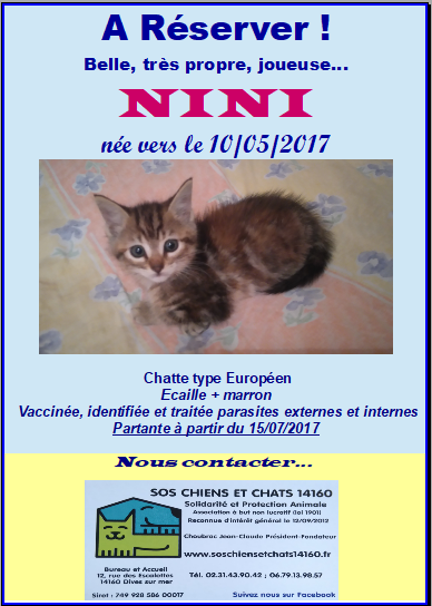Capture nini