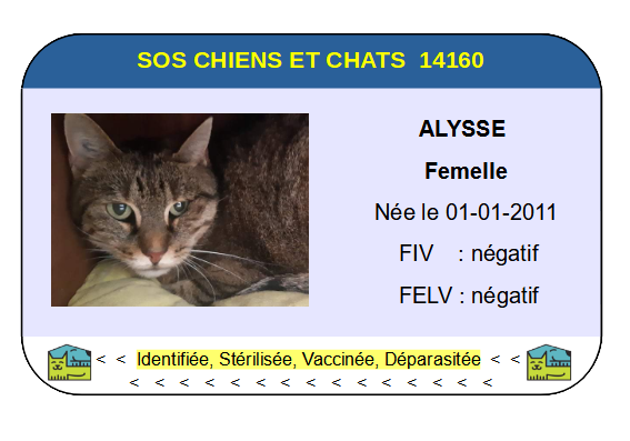 Ci alysse