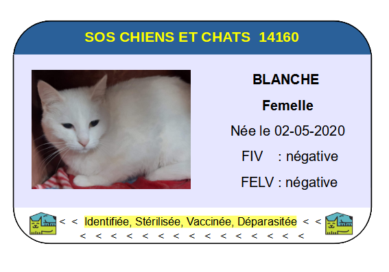 Ci blanche