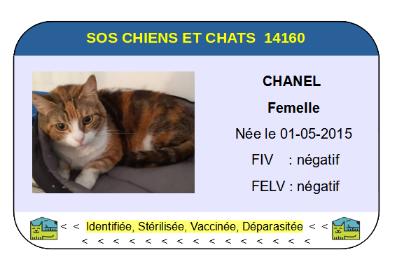 Ci chanel