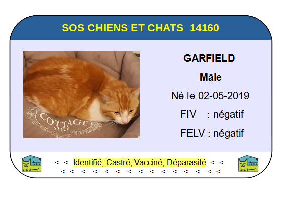 Ci garfield