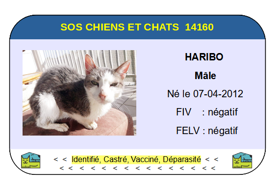 Ci haribo