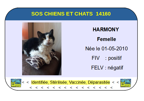 Ci harmony