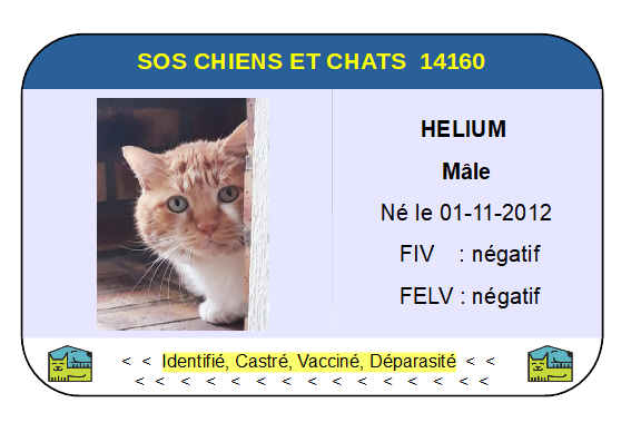 Ci helium2