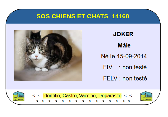 Ci joker 1