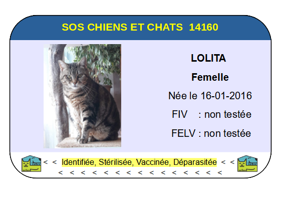 Ci lolita