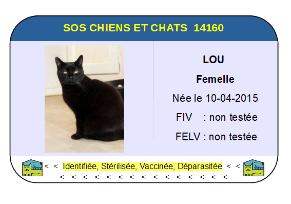 Ci lou