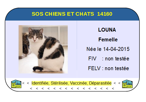 Ci louna 1