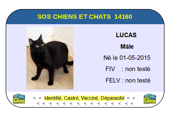 Ci lucas