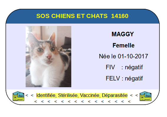 Ci maggy
