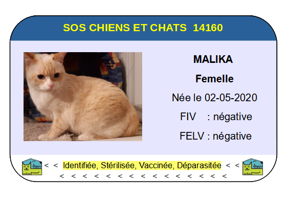 Ci malika