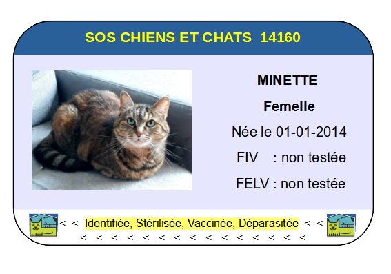 Ci minette
