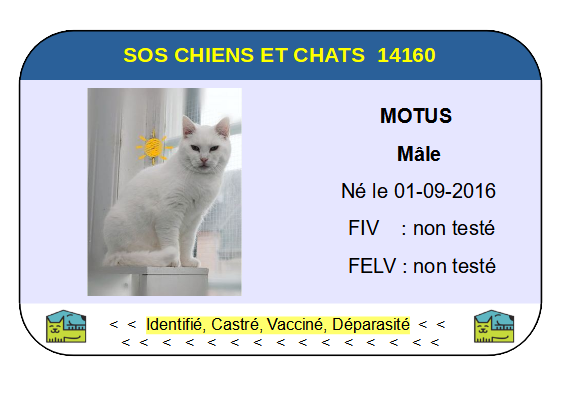 Ci motus 1