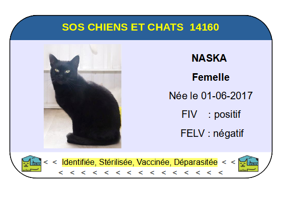 Ci naska 1