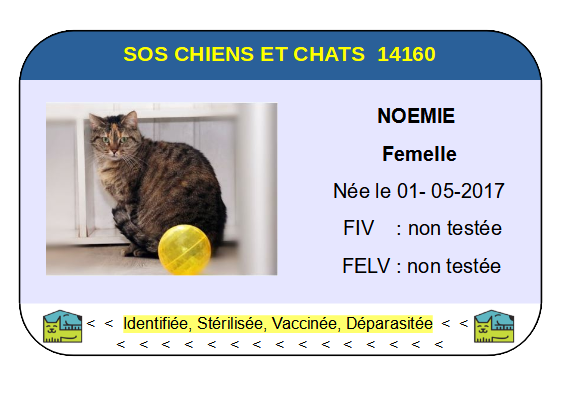 Ci noemie