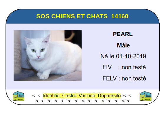 Ci pearl 1