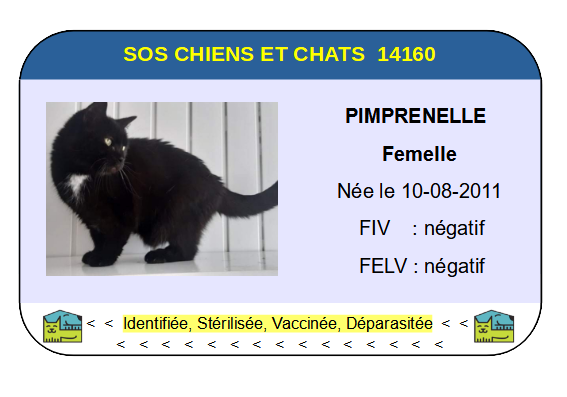 Ci pimprenelle
