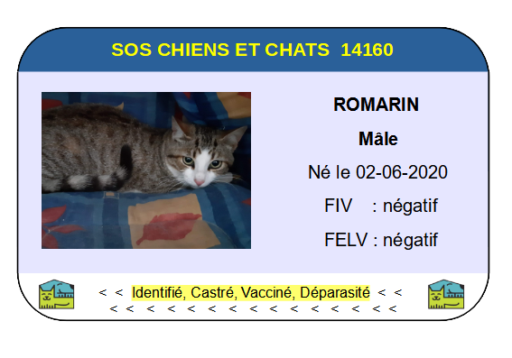 Ci romarin