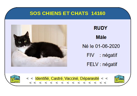 Ci rudy 1