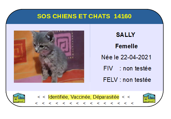 Ci sally