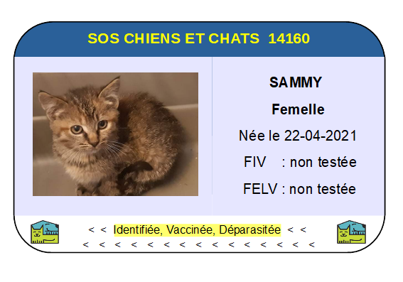 Ci sammy