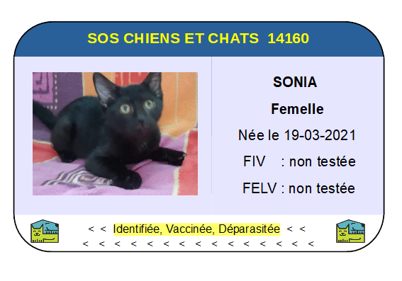 Ci sonia