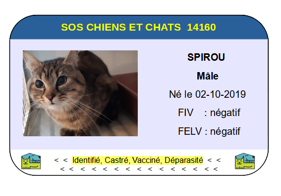 Ci spirou