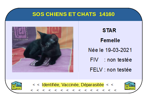 Ci star