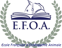 Logo efoa 1