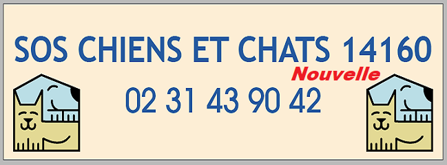 272405836 4756101304439811 2821315056547795091 n