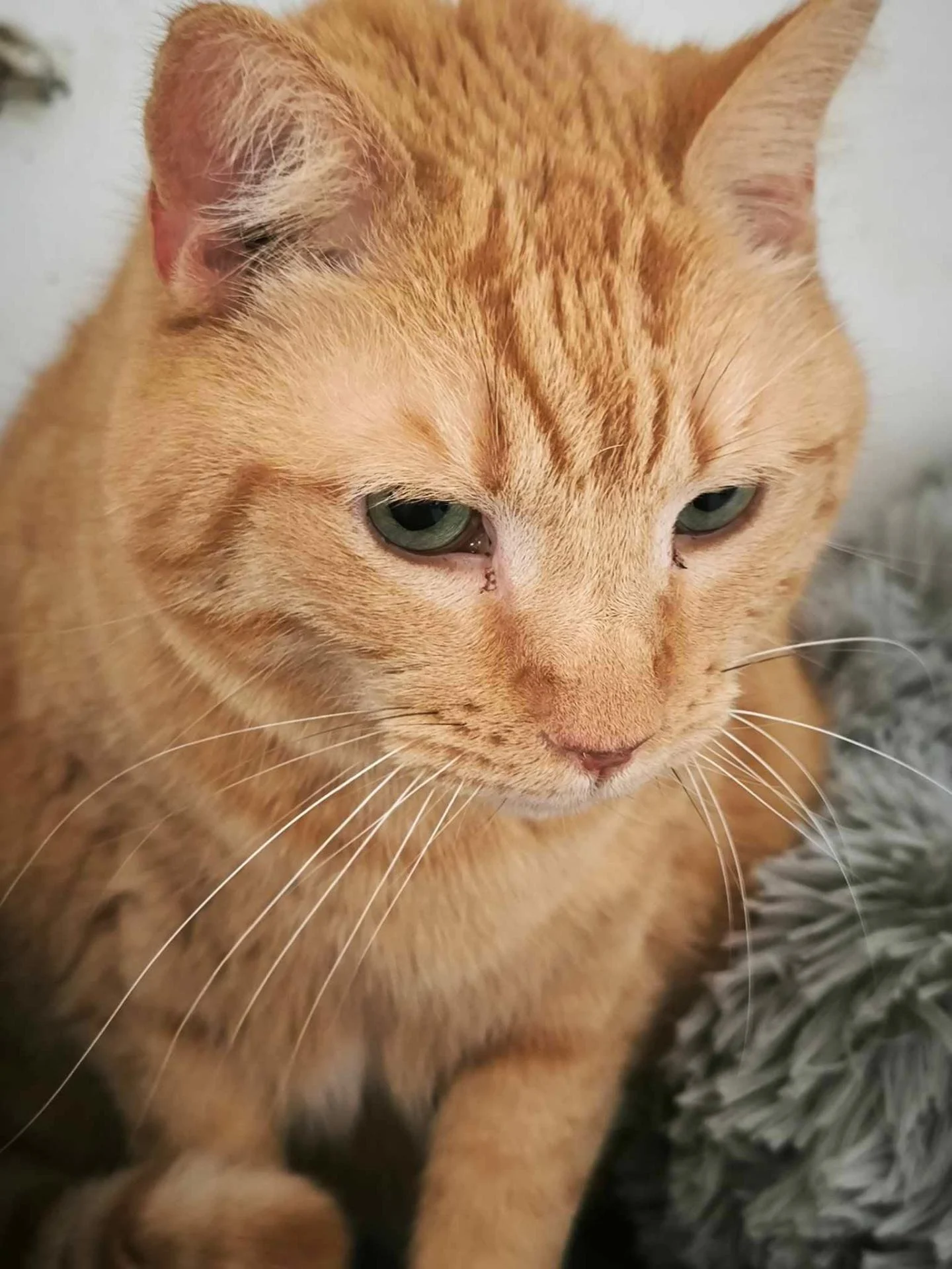 671381593 894822073592073 7650402318673730336 n