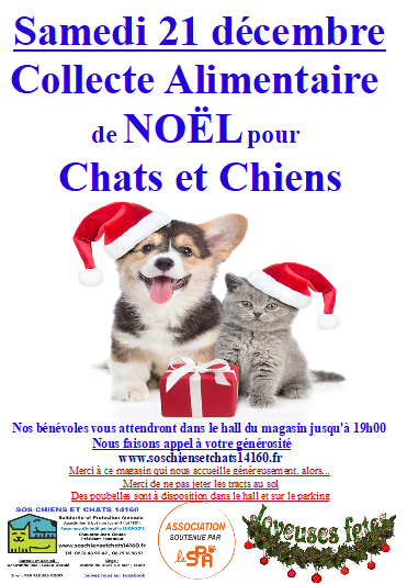 Affiche collecte de noel 2024