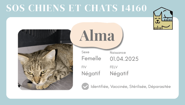 Ci alma