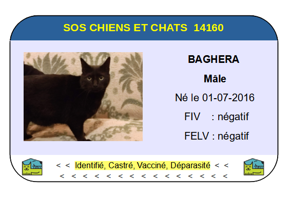 Ci baghera