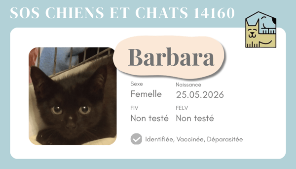 Ci barbara
