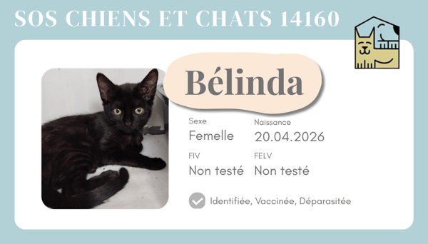 Ci belinda
