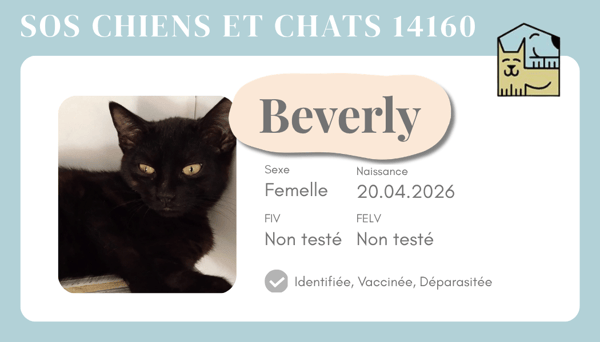 Ci beverly