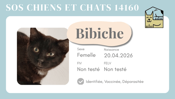 Ci bibiche
