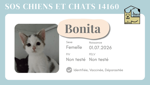 Ci bonita