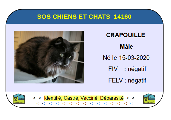 Ci crapouille