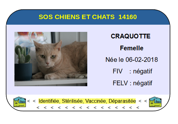 Ci craquotte