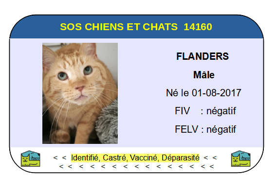 Ci flanders