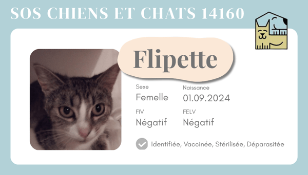 Ci flipette