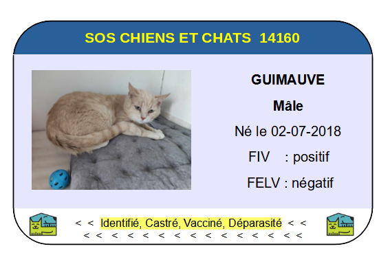 Ci guimauve