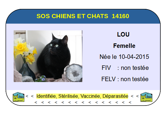 Ci lou f 1