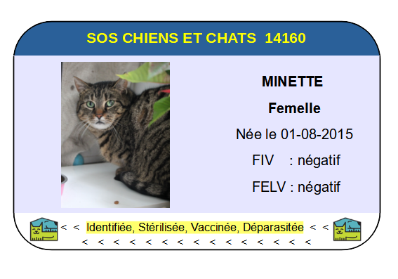 Ci minette 1