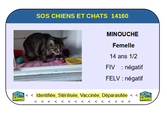 Ci minouche 1