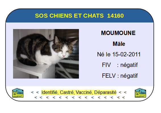 Ci moumoune